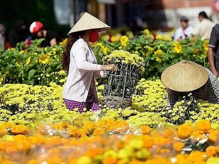Loài cá kỳ lạ nhất châu Phi: - Cảm hứng video marketing từ Hotspot Matrix_Khóa học digital marketing trực tuyến